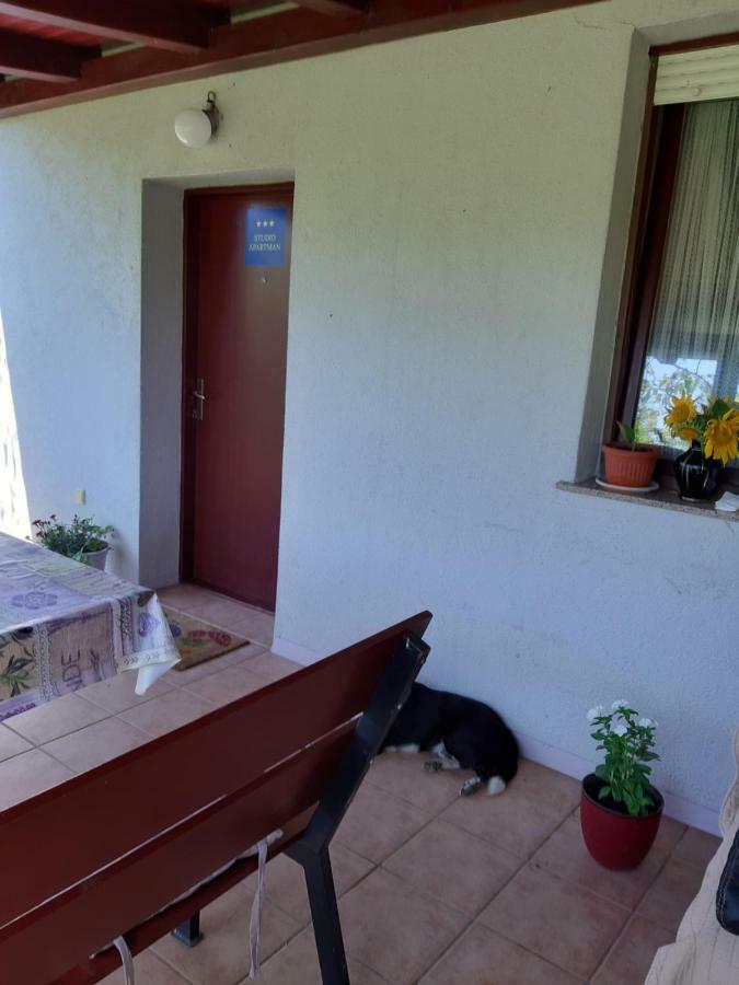 Apartment Apartment Natur *