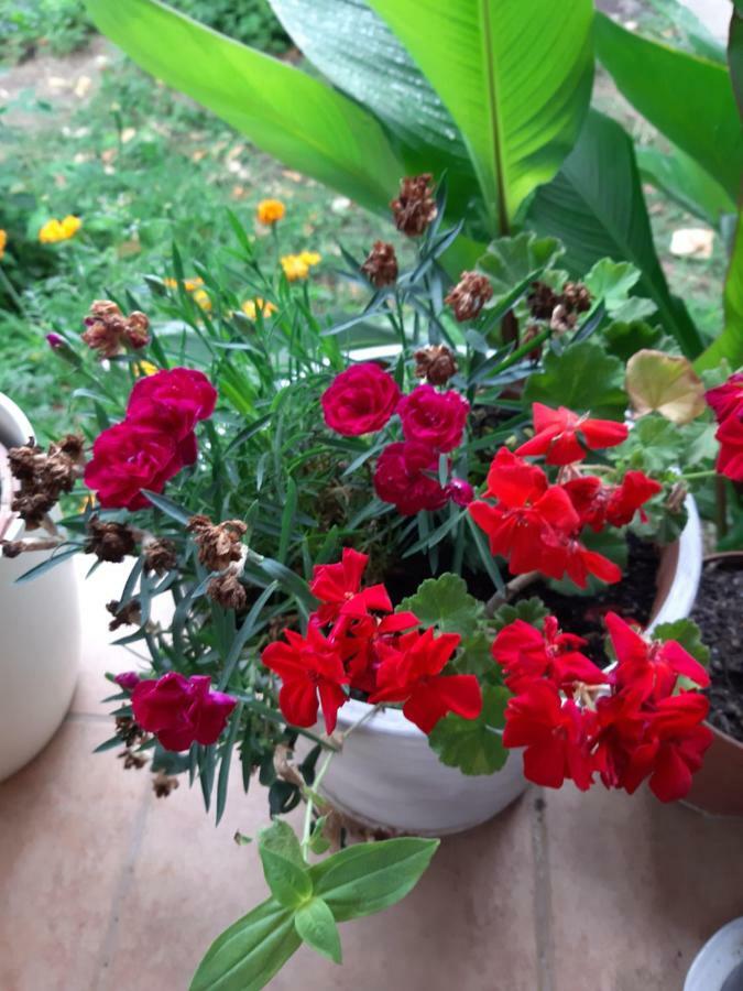 Apartma Apartment Natur Zagreb
