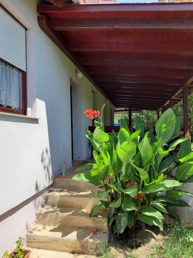 Apartment Natur Apartman