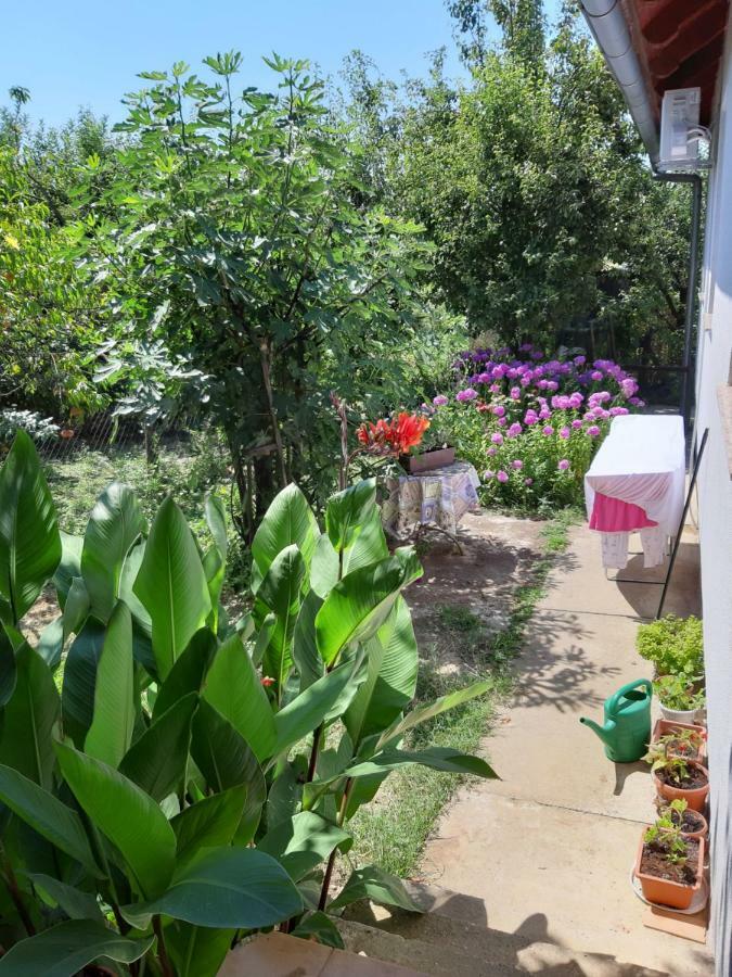Apartment Natur Apartment Zagreb