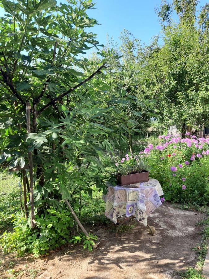 Apartment Apartment Natur *